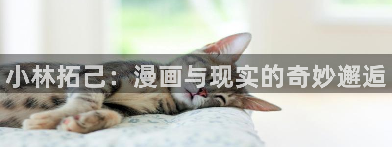 腐漫画网站男男：小林拓己：漫画与现实的奇妙邂逅